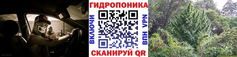 цена   Чишмы  Каннабис MAZAR 